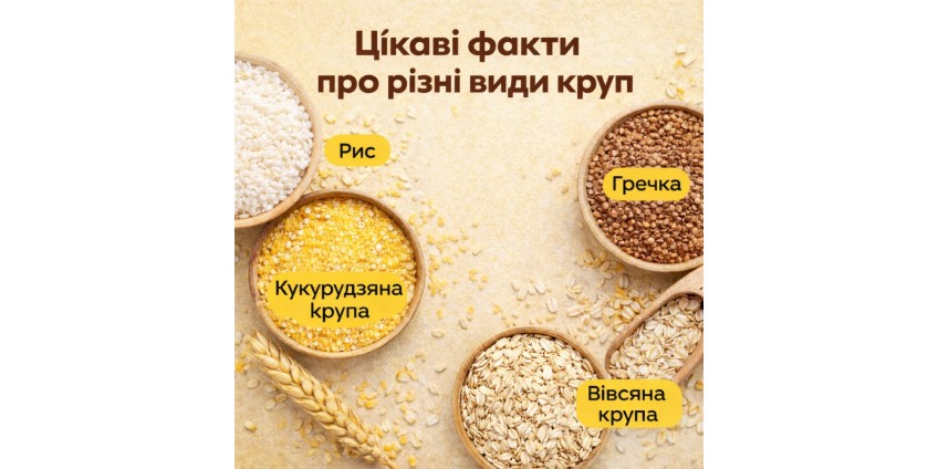 Цікаві факти про різні види круп